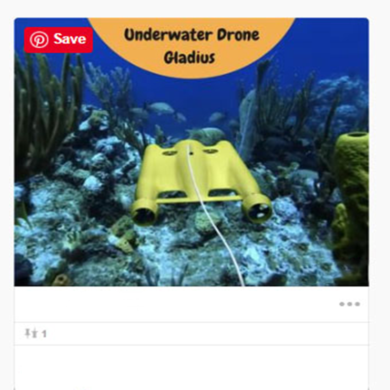 What would you do if you get an underwater drone?