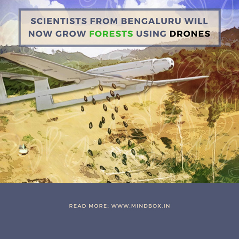 Scientists From Bengaluru Will Now Grow Forests Using Drones