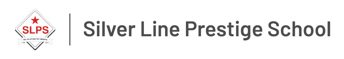 Silver Line Prestige School Logo